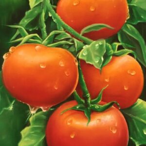 Nature's Harvest (oil on canvas)